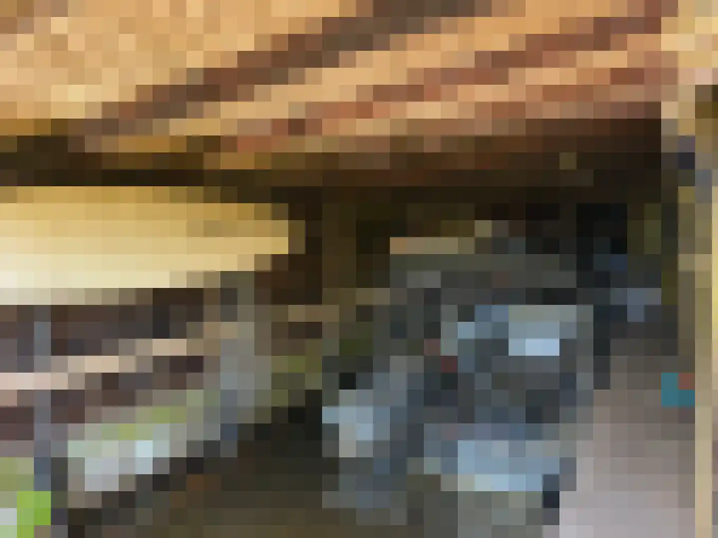 Molenweg 28 Giethoorn thumbnail 55