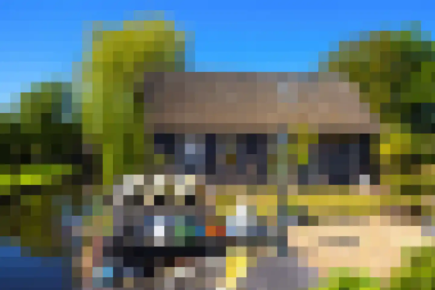 Molenweg 28 Giethoorn thumbnail 59