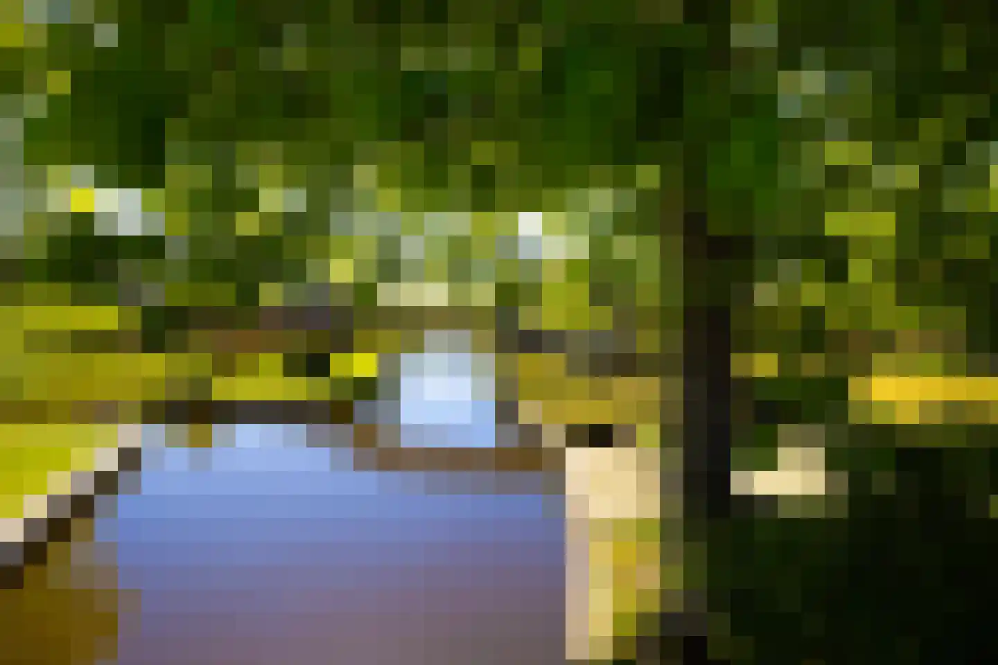 Molenweg 28 Giethoorn thumbnail 7