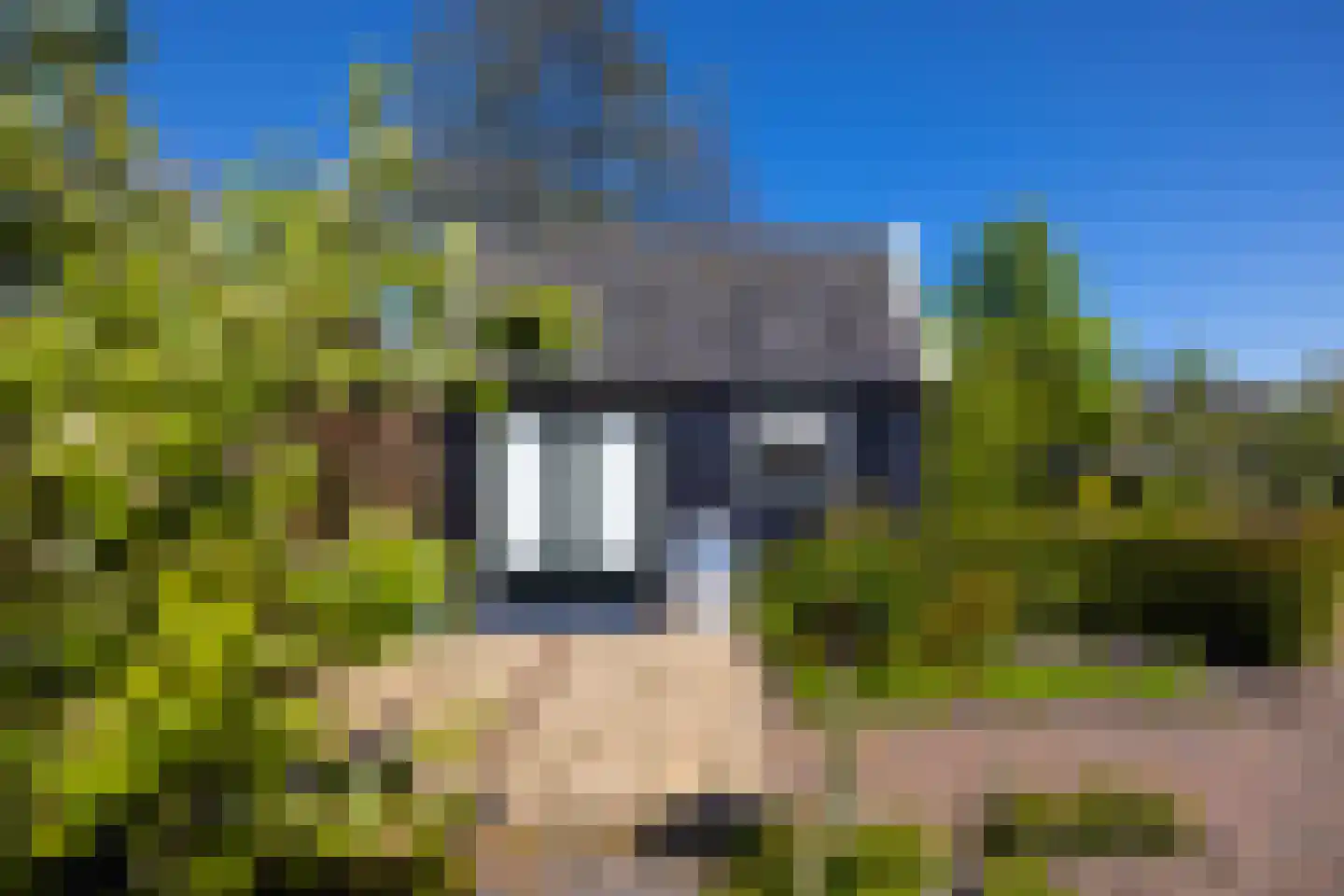Molenweg 28 Giethoorn thumbnail 72