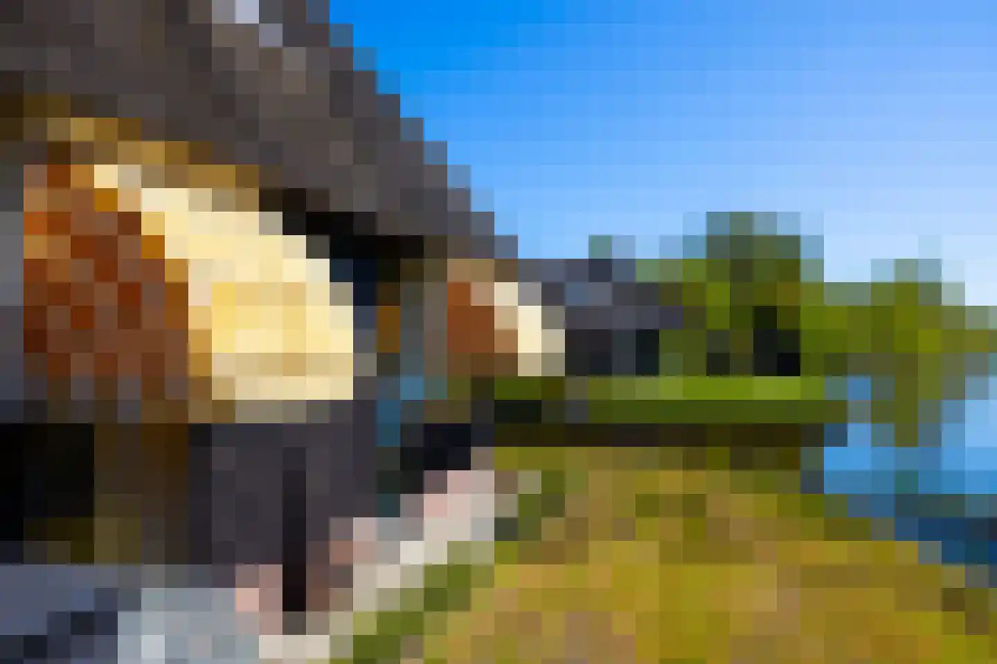Molenweg 28 Giethoorn thumbnail 75