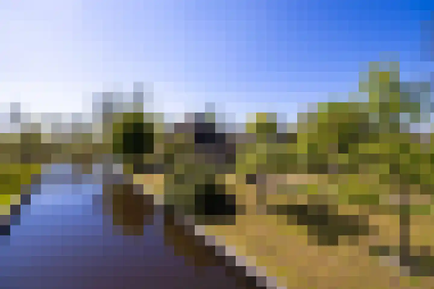 Molenweg 28 Giethoorn thumbnail 83