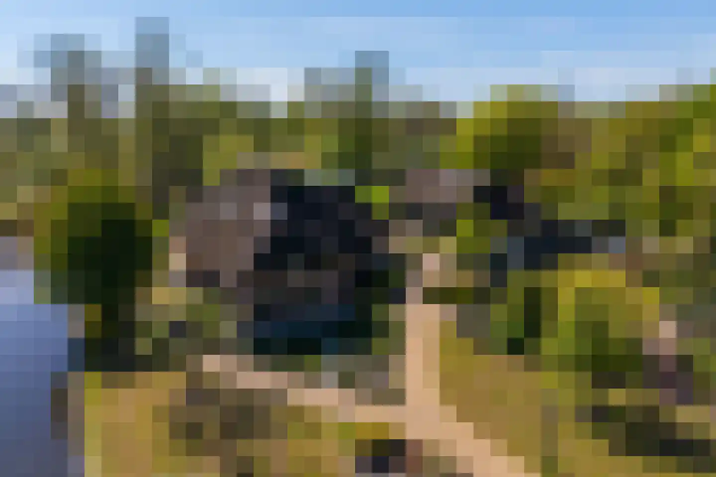 Molenweg 28 Giethoorn thumbnail 86