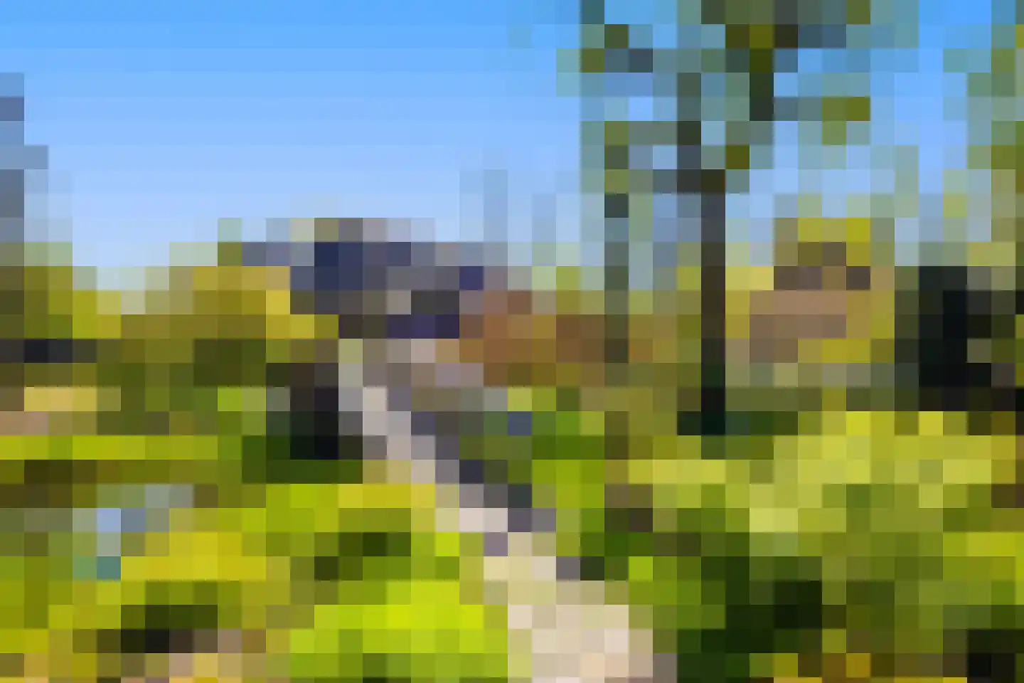 Molenweg 28 Giethoorn thumbnail 9