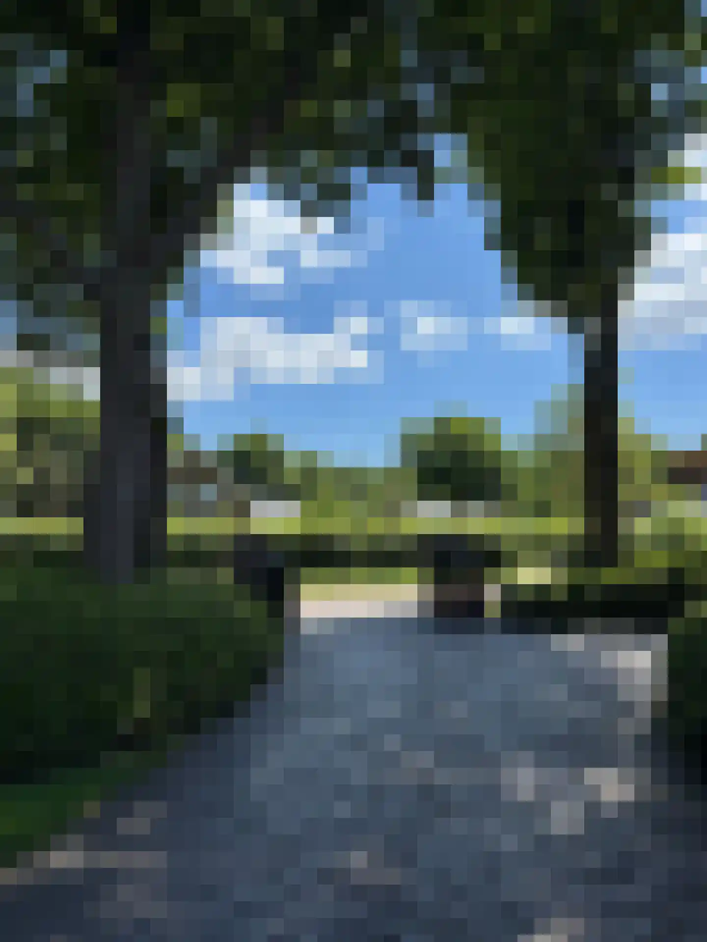 Molenweg 28 Hierden thumbnail 106