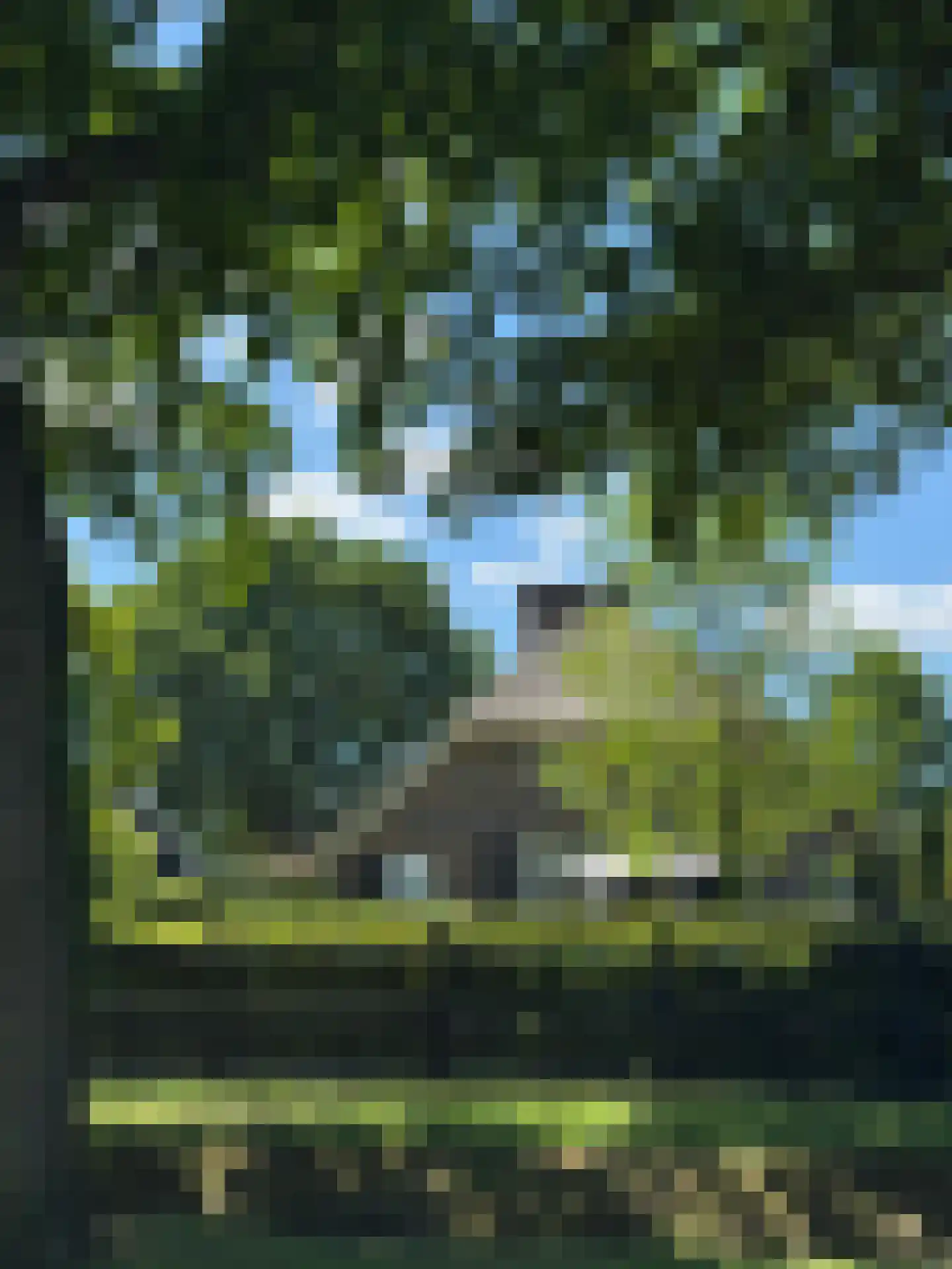 Molenweg 28 Hierden thumbnail 109
