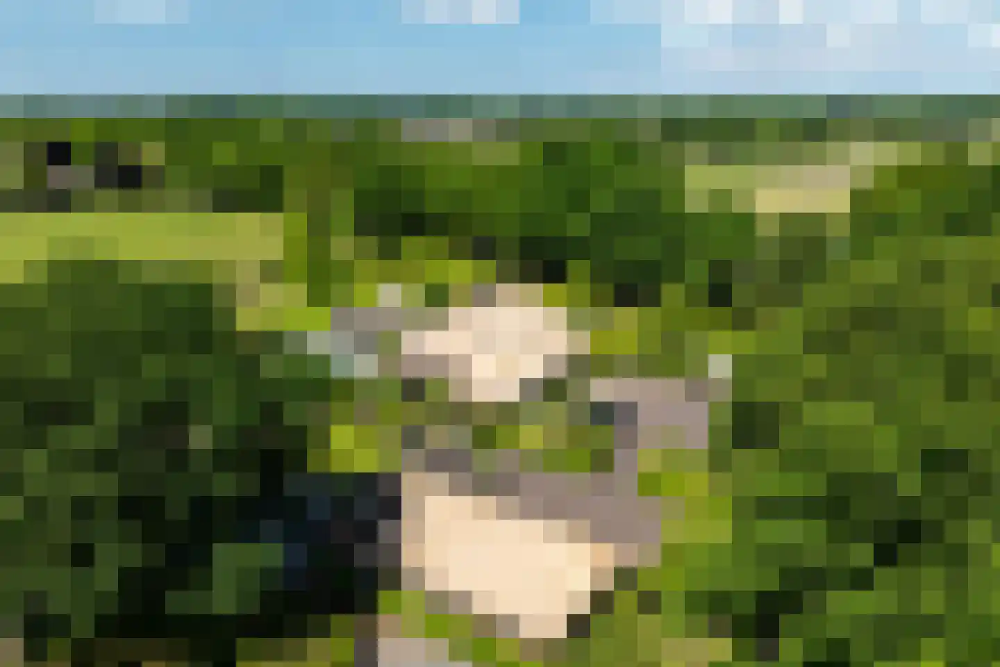 Molenweg 28 Hierden thumbnail 110