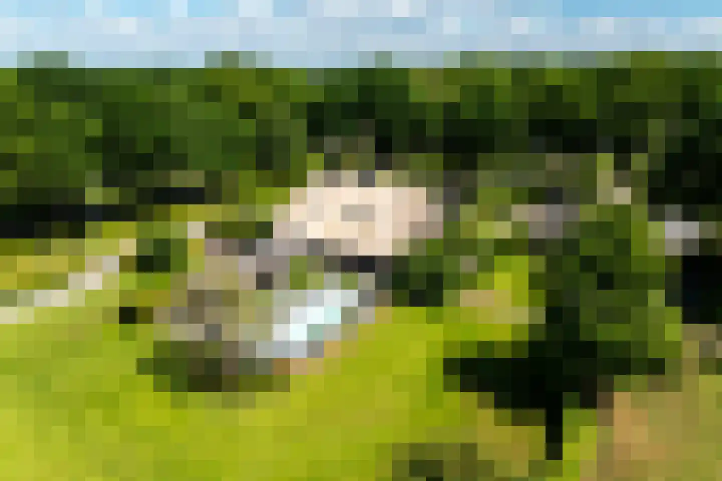 Molenweg 28 Hierden thumbnail 112