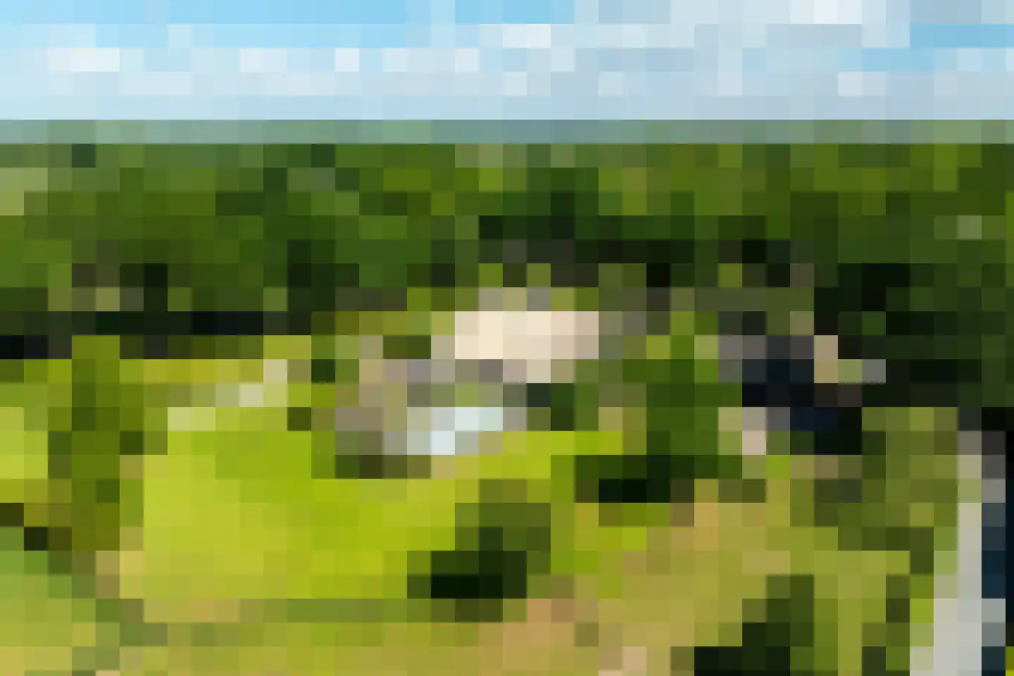 Molenweg 28 Hierden thumbnail 114