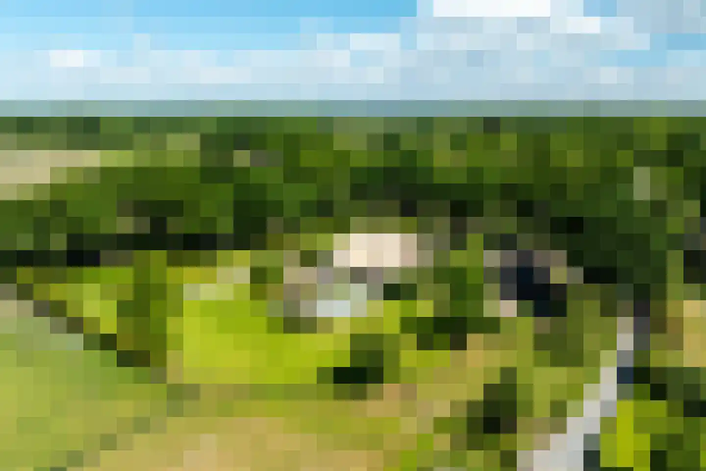 Molenweg 28 Hierden thumbnail 115