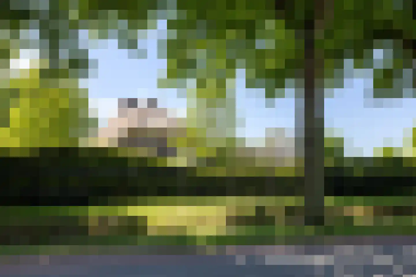 Molenweg 28 Hierden thumbnail 12