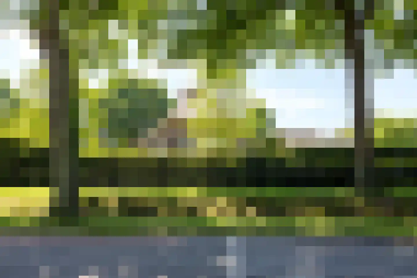 Molenweg 28 Hierden thumbnail 13