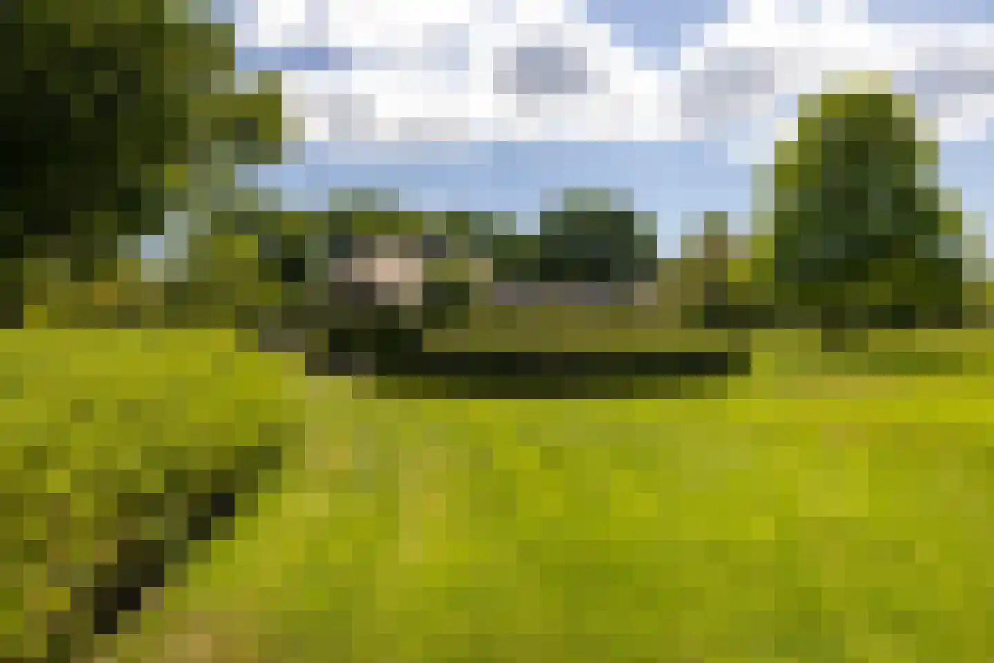 Molenweg 28 Hierden thumbnail 15