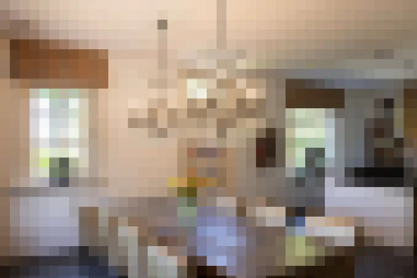 Molenweg 28 Hierden thumbnail 31
