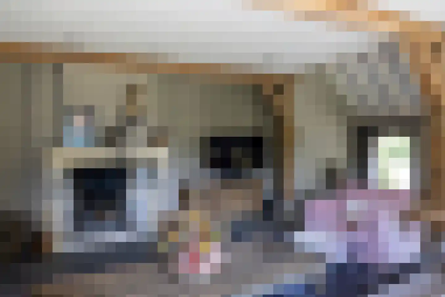 Molenweg 28 Hierden thumbnail 37