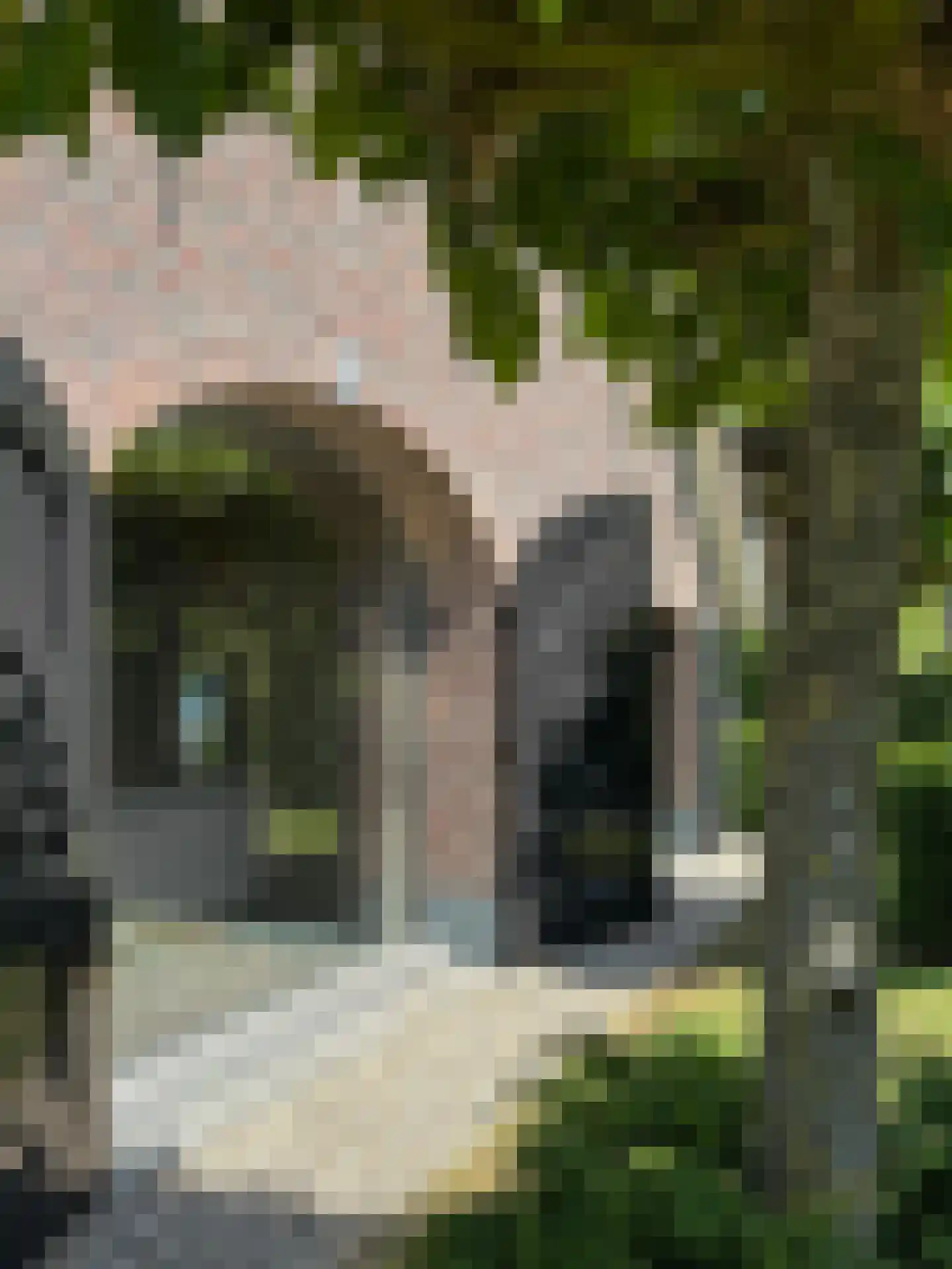 Molenweg 28 Hierden thumbnail 39