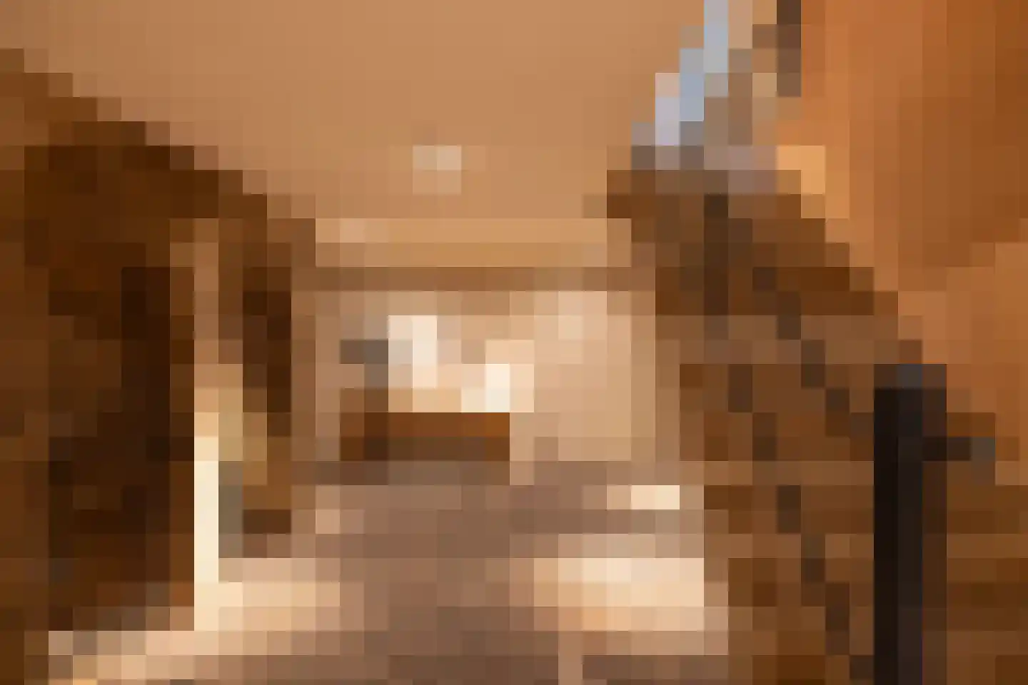 Molenweg 28 Hierden thumbnail 43