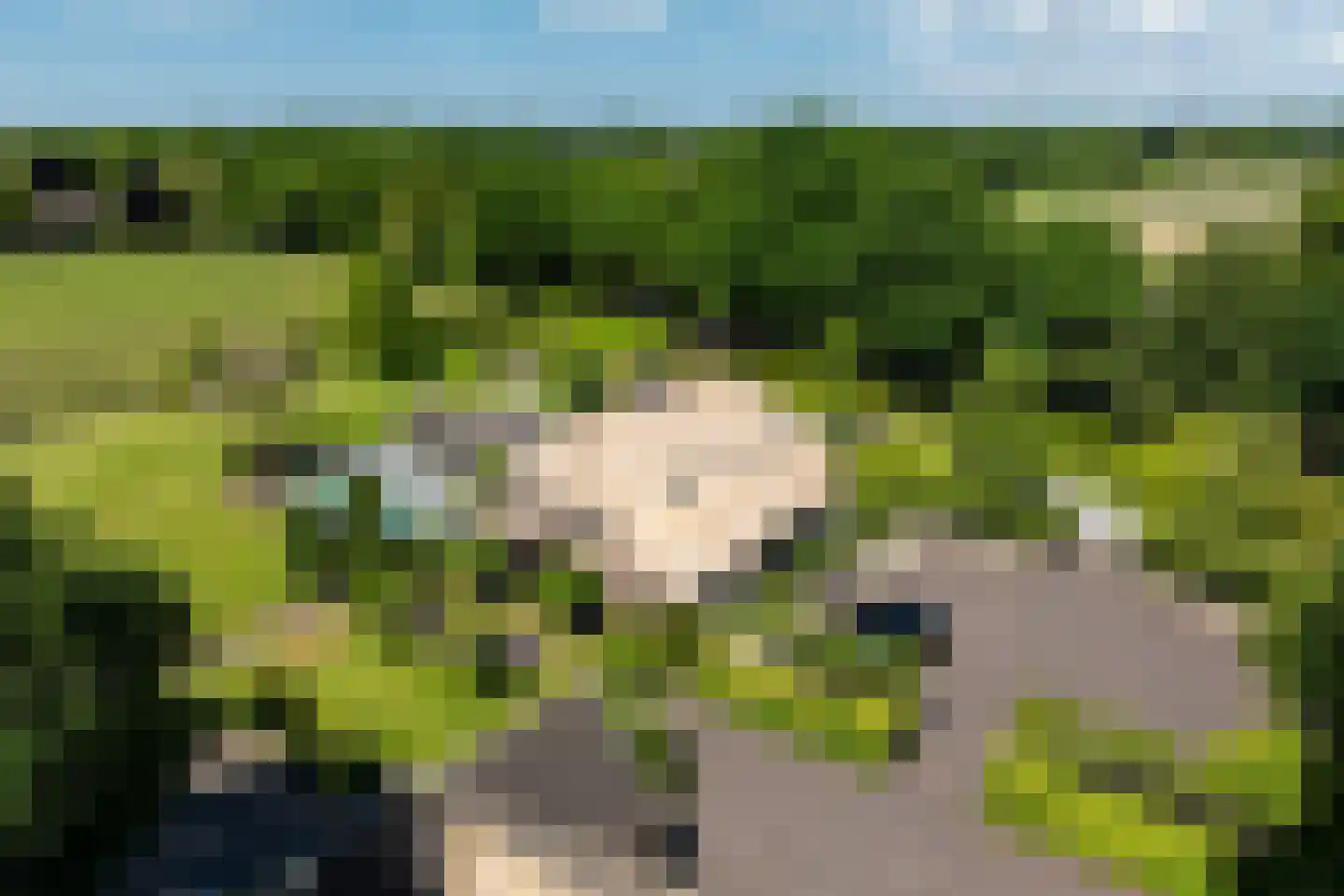 Molenweg 28 Hierden thumbnail 5