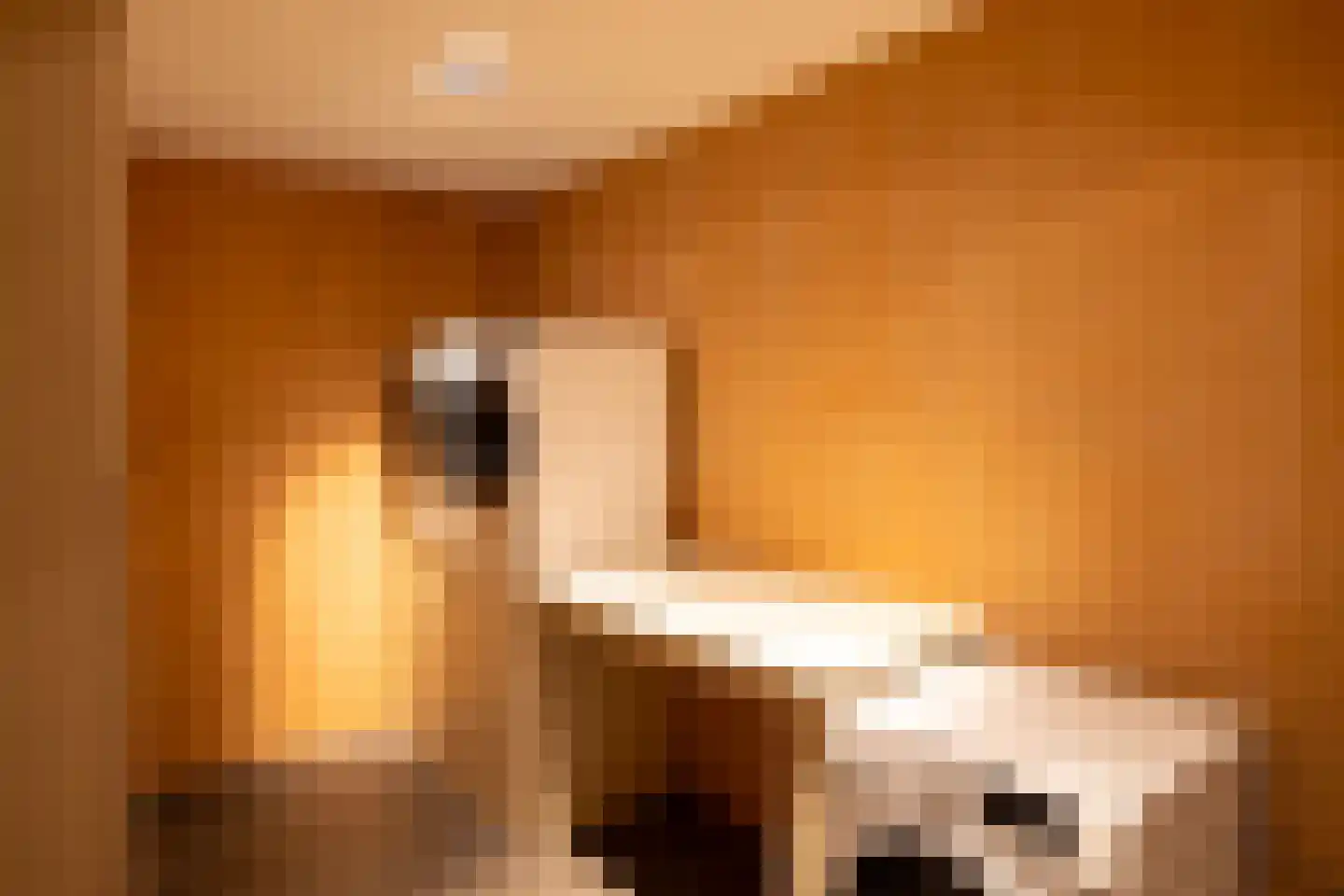Molenweg 28 Hierden thumbnail 54