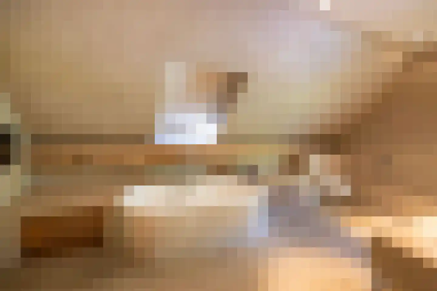 Molenweg 28 Hierden thumbnail 61