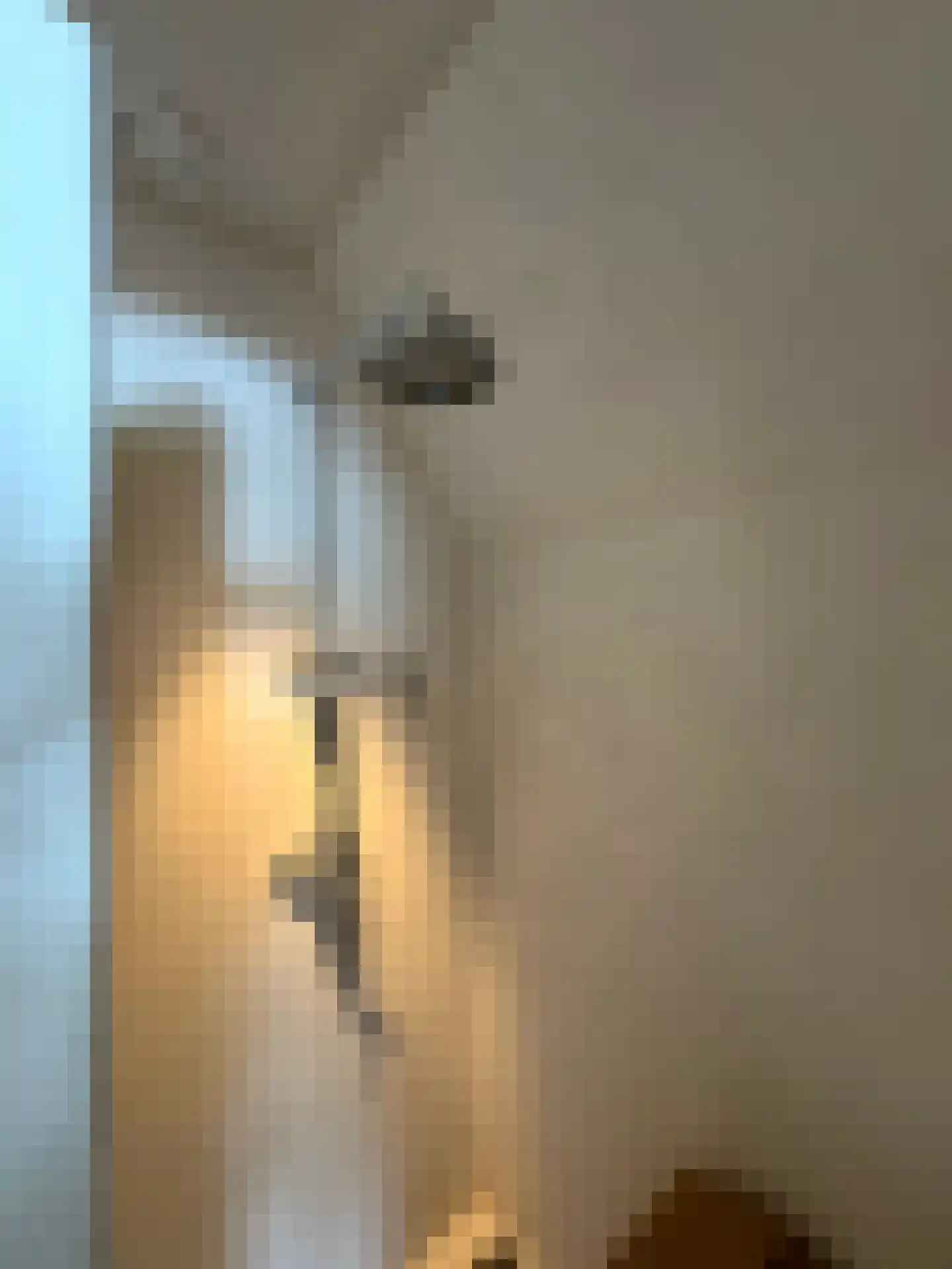 Molenweg 28 Hierden thumbnail 64