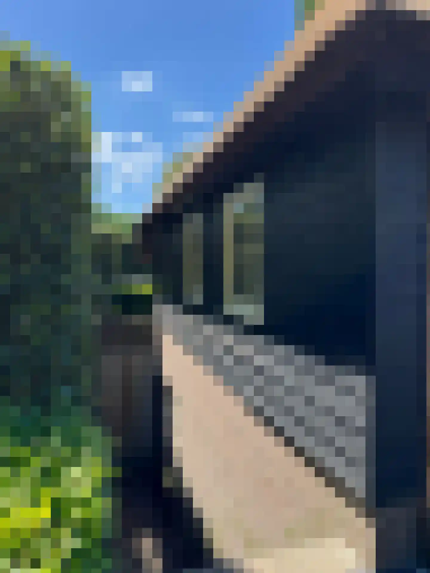 Molenweg 28 Hierden thumbnail 68
