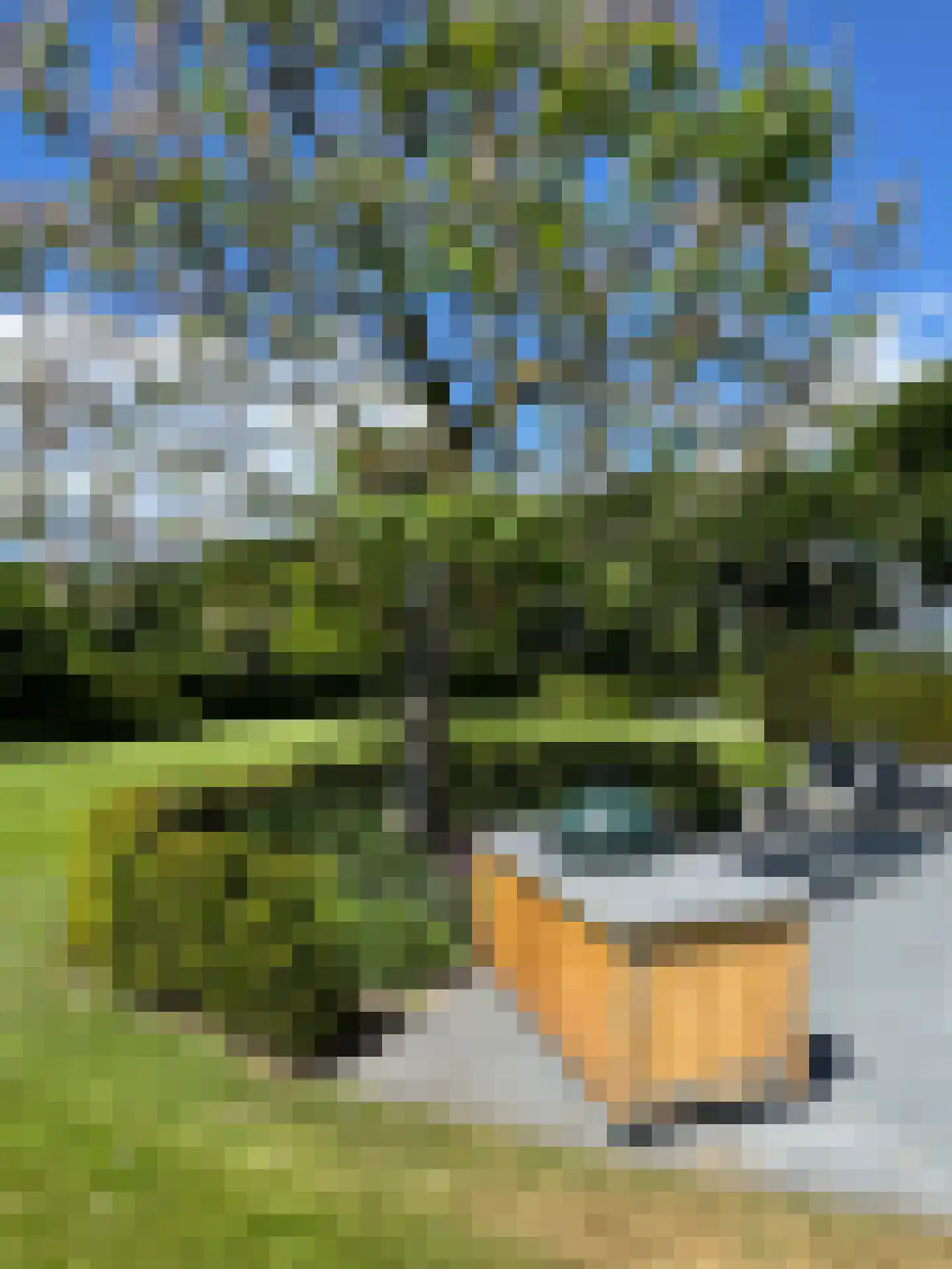 Molenweg 28 Hierden thumbnail 96