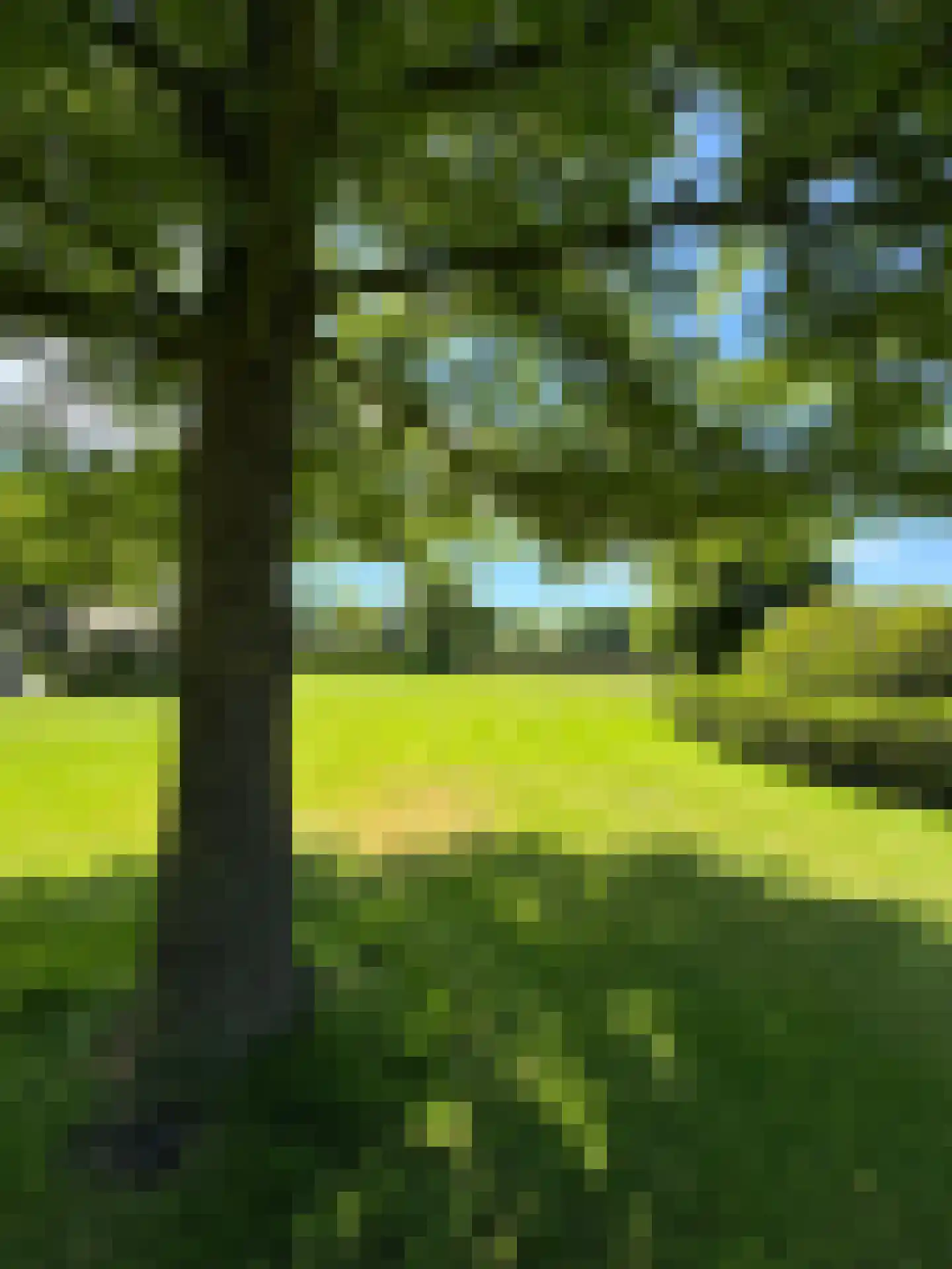 Molenweg 28 Hierden thumbnail 99