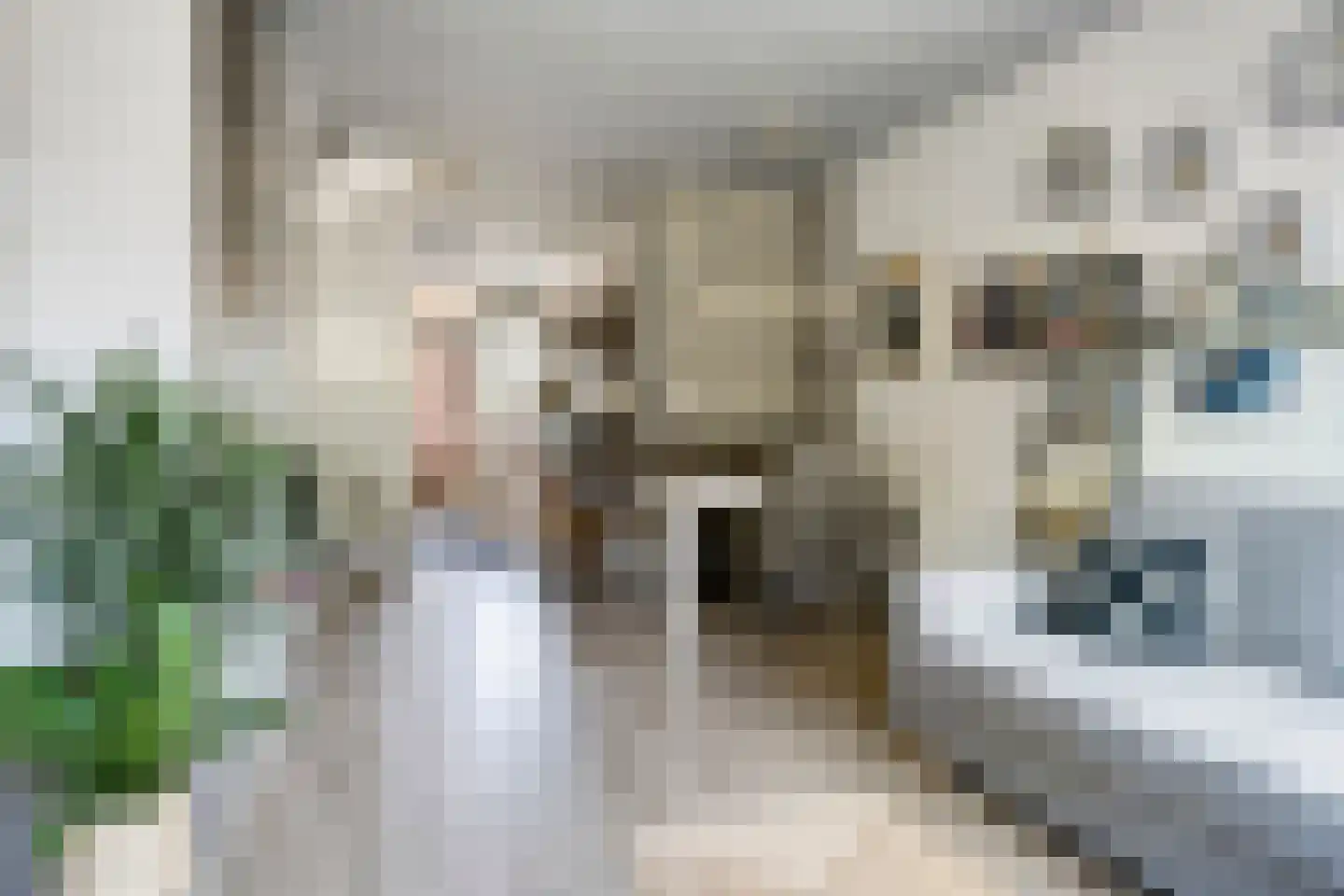 Molenweg 28 Oosterbeek thumbnail 10