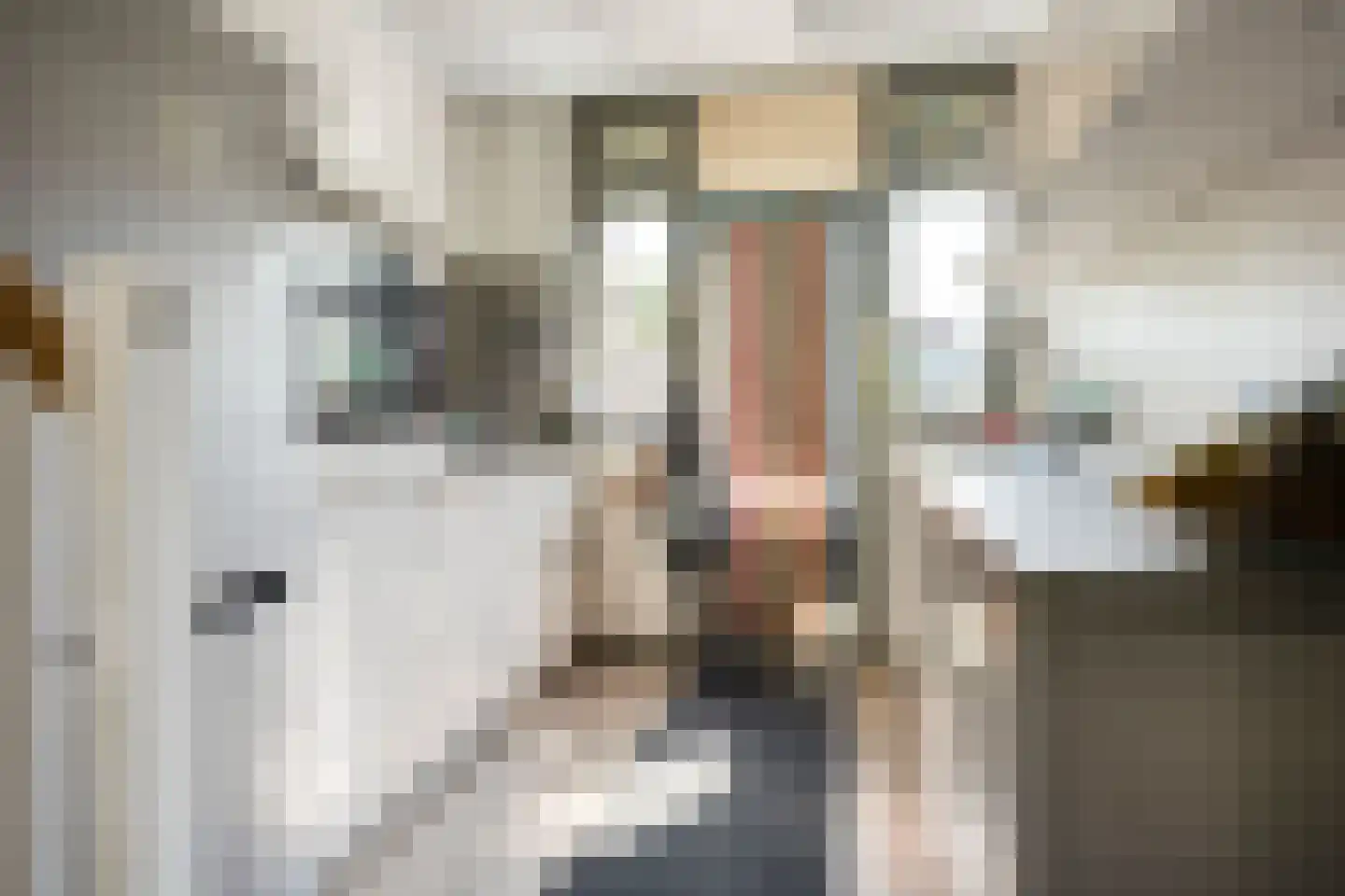 Molenweg 28 Oosterbeek thumbnail 13