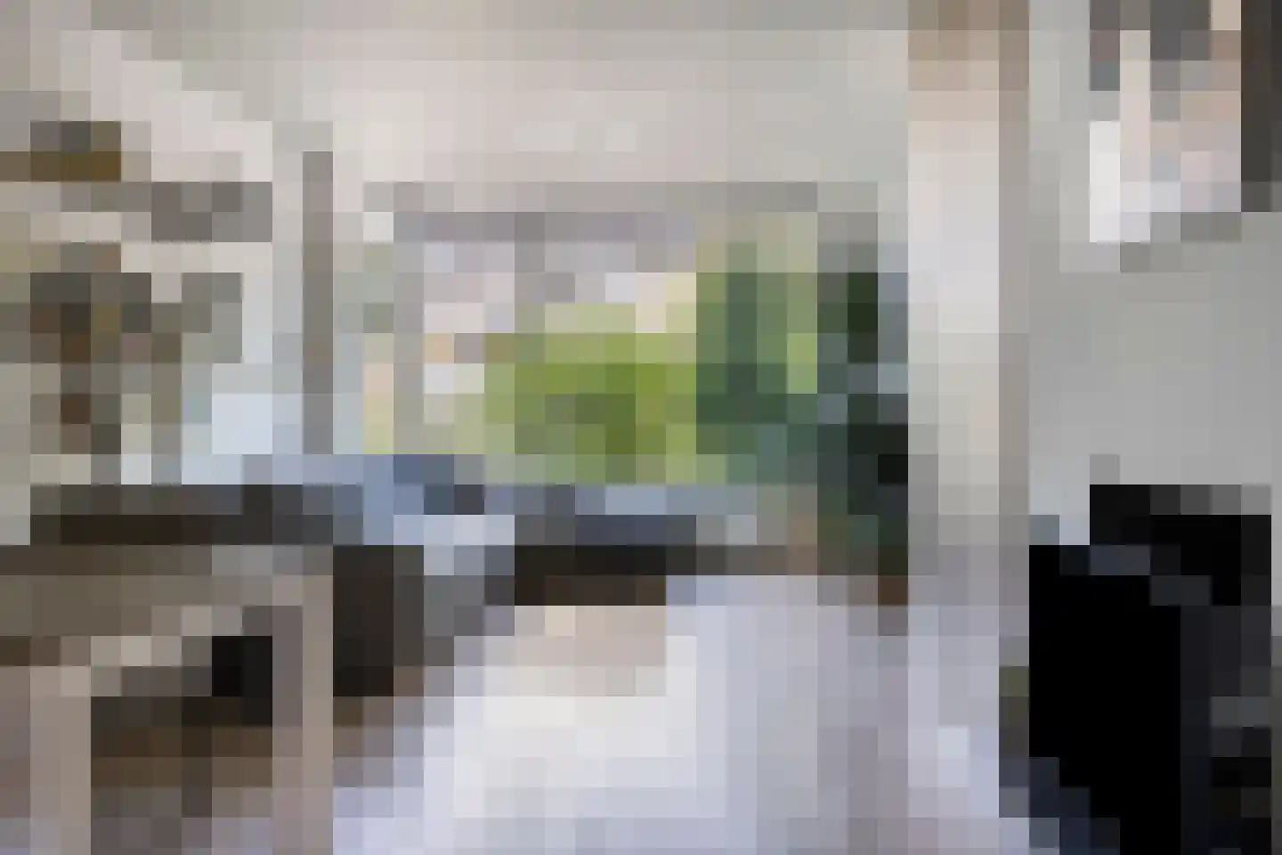 Molenweg 28 Oosterbeek thumbnail 6