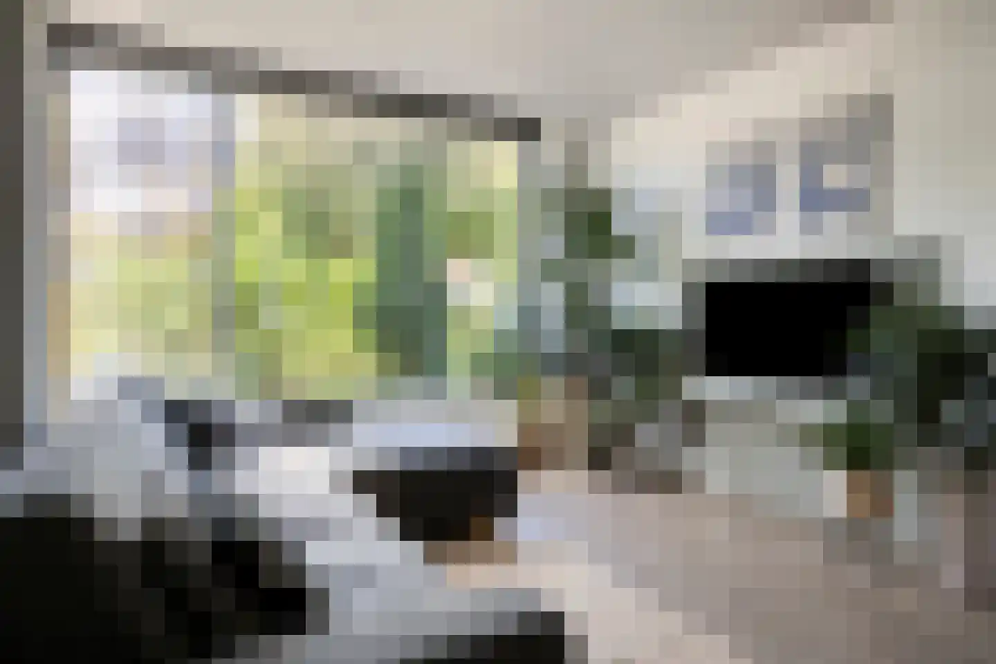 Molenweg 28 Oosterbeek thumbnail 8