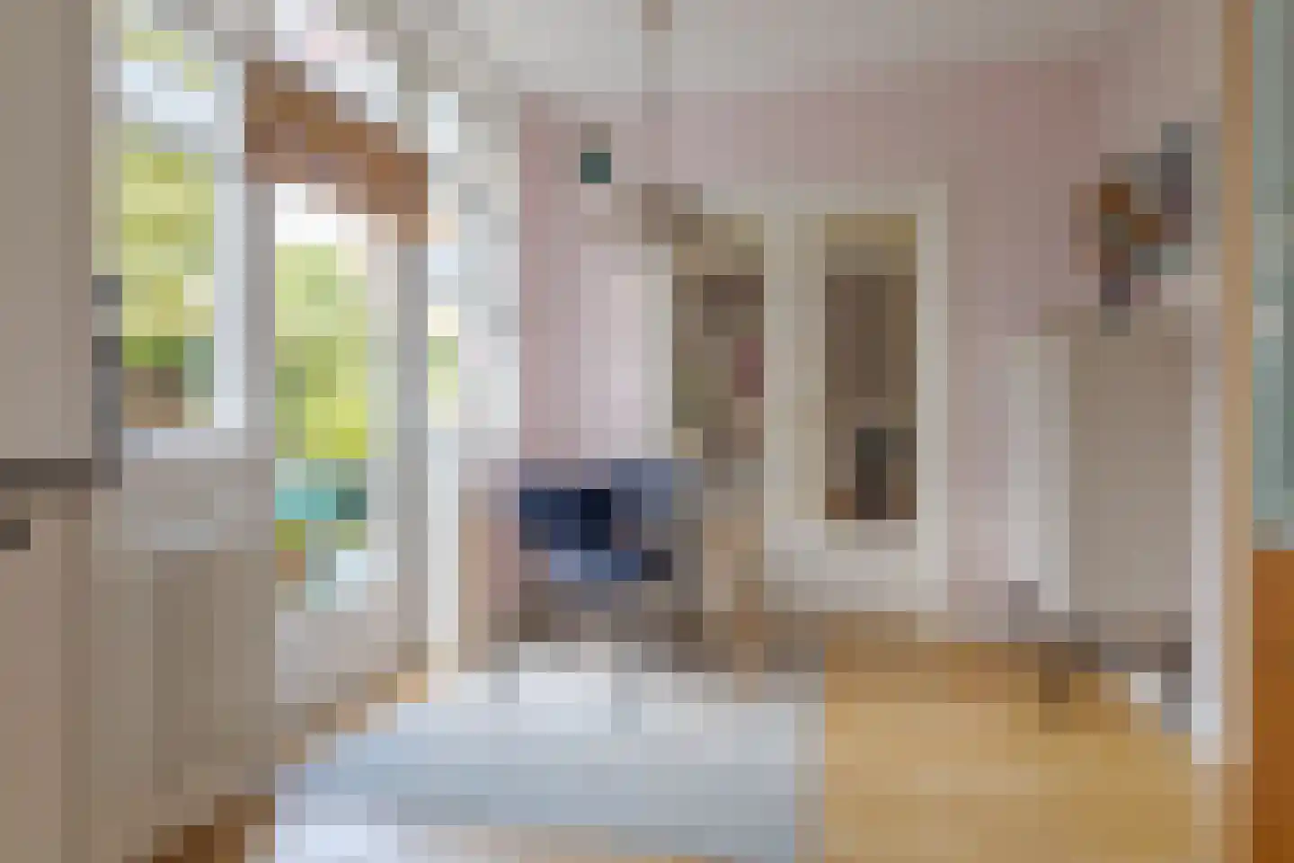 Molenweg 288 Zwolle thumbnail 15