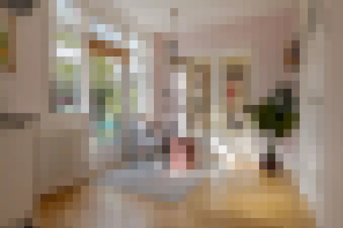 Molenweg 288 Zwolle thumbnail 16