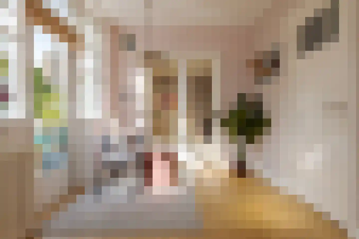 Molenweg 288 Zwolle thumbnail 17