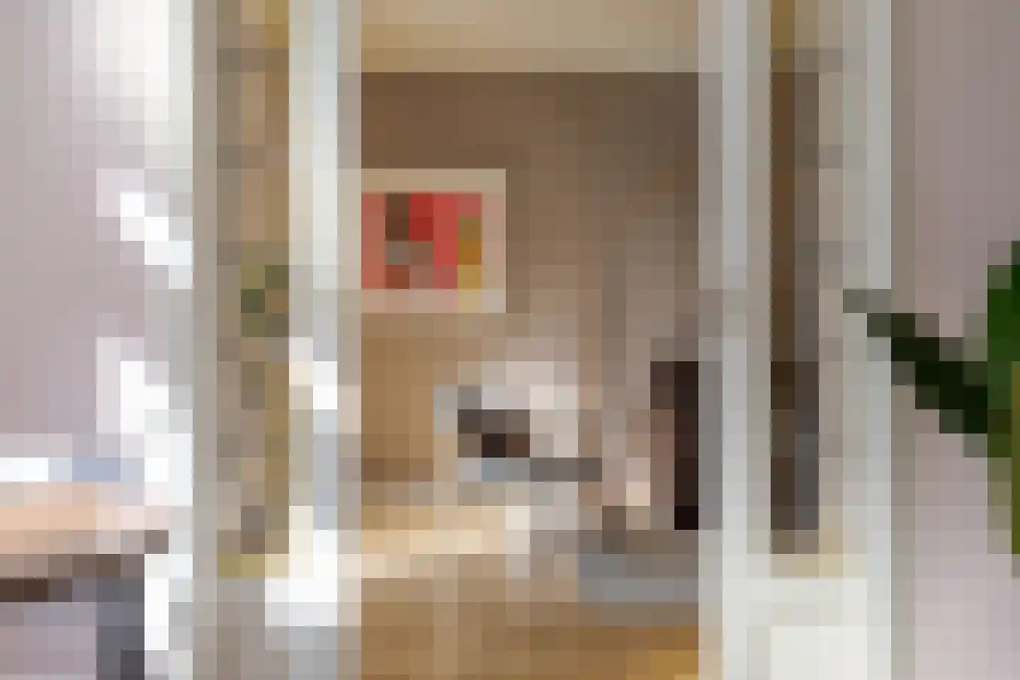 Molenweg 288 Zwolle thumbnail 18
