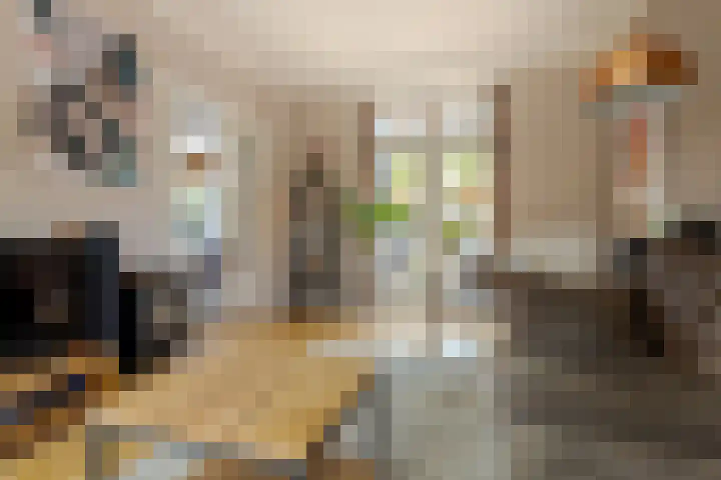 Molenweg 288 Zwolle thumbnail 20