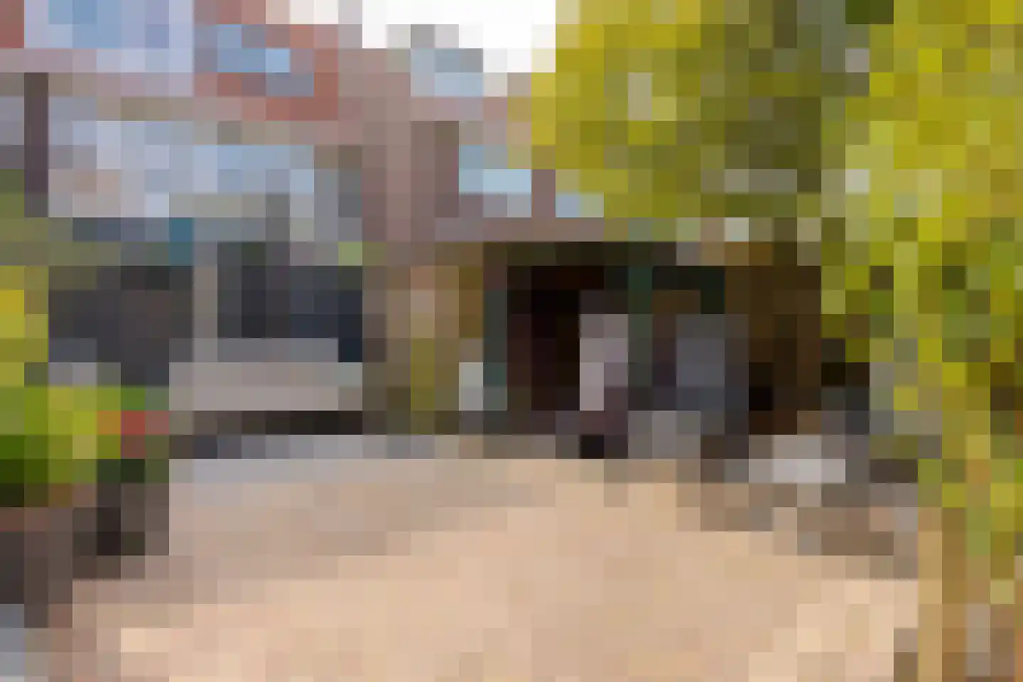 Molenweg 288 Zwolle thumbnail 22
