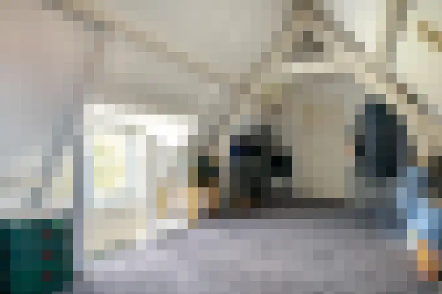 Molenweg 288 Zwolle thumbnail 38