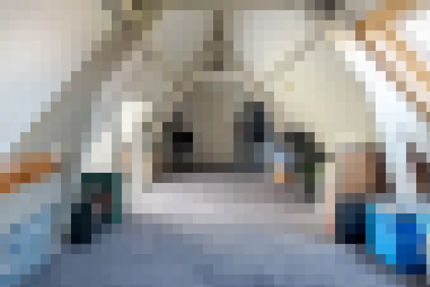 Molenweg 288 Zwolle thumbnail 39