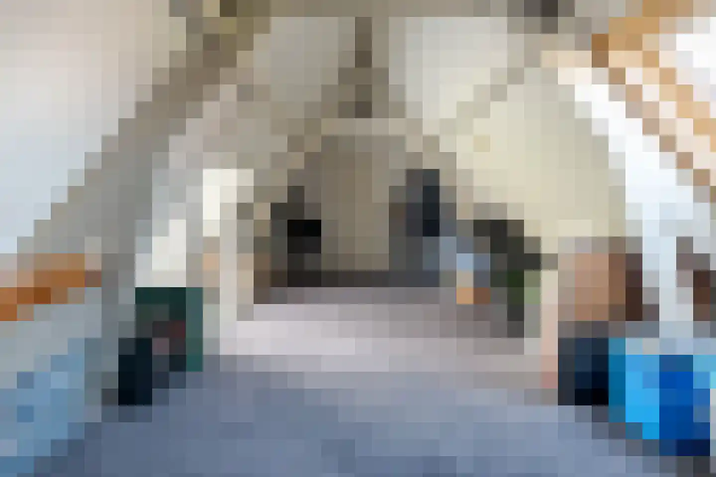 Molenweg 288 Zwolle thumbnail 43