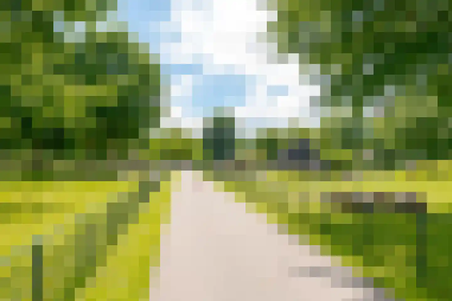 Molenweg 288 Zwolle thumbnail 47
