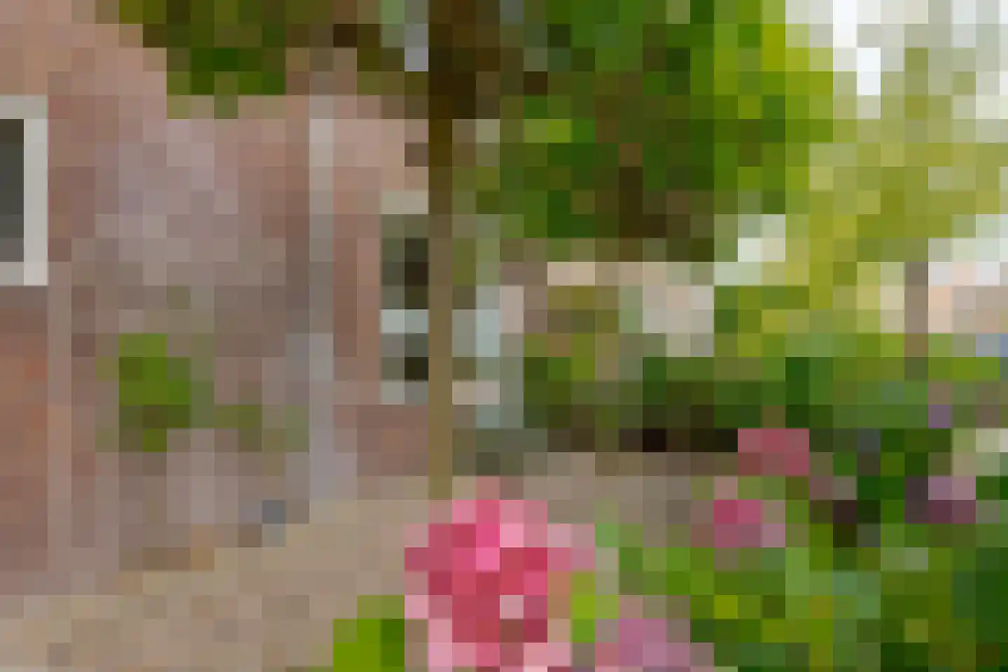 Molenweg 288 Zwolle thumbnail 7