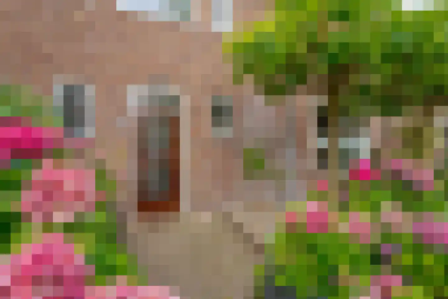Molenweg 288 Zwolle thumbnail 8