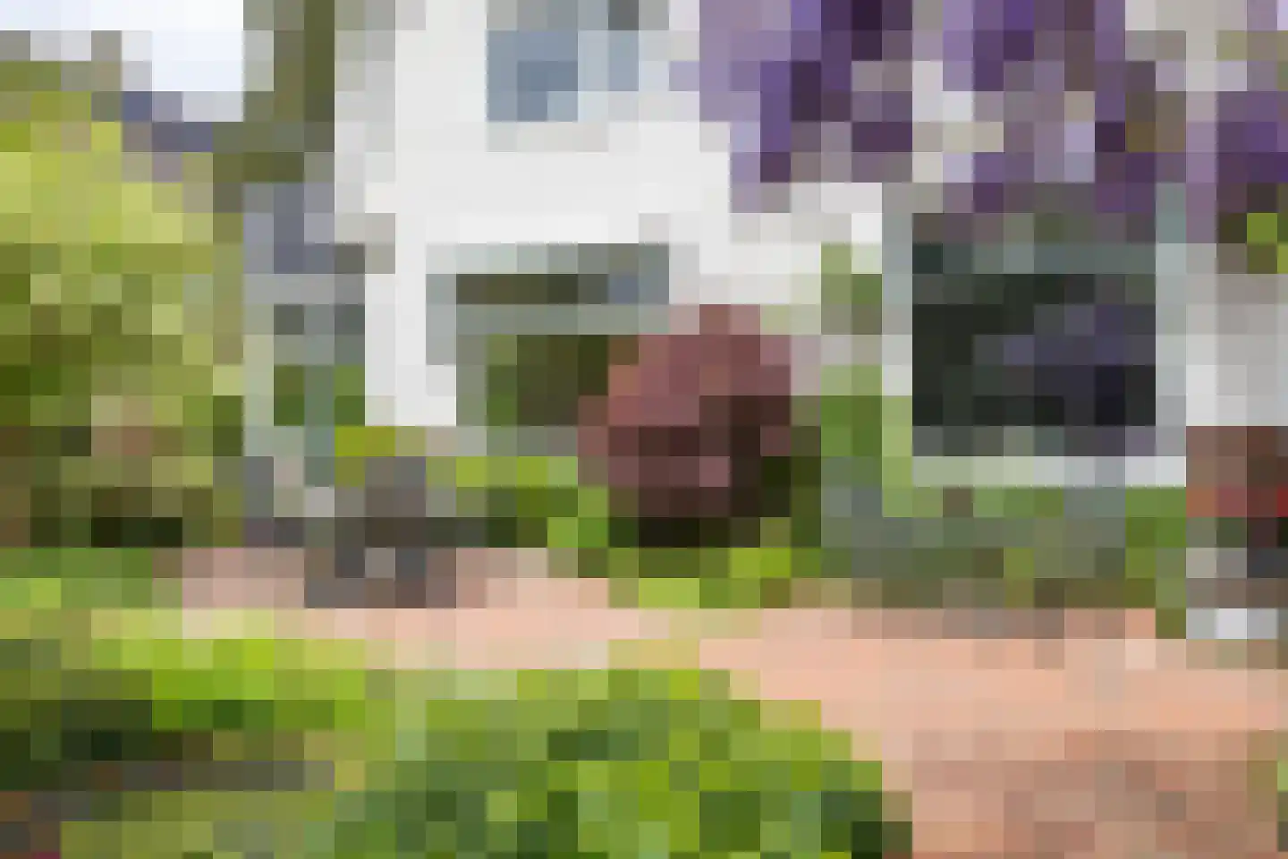Molenweg 29 Haren Gn thumbnail 22