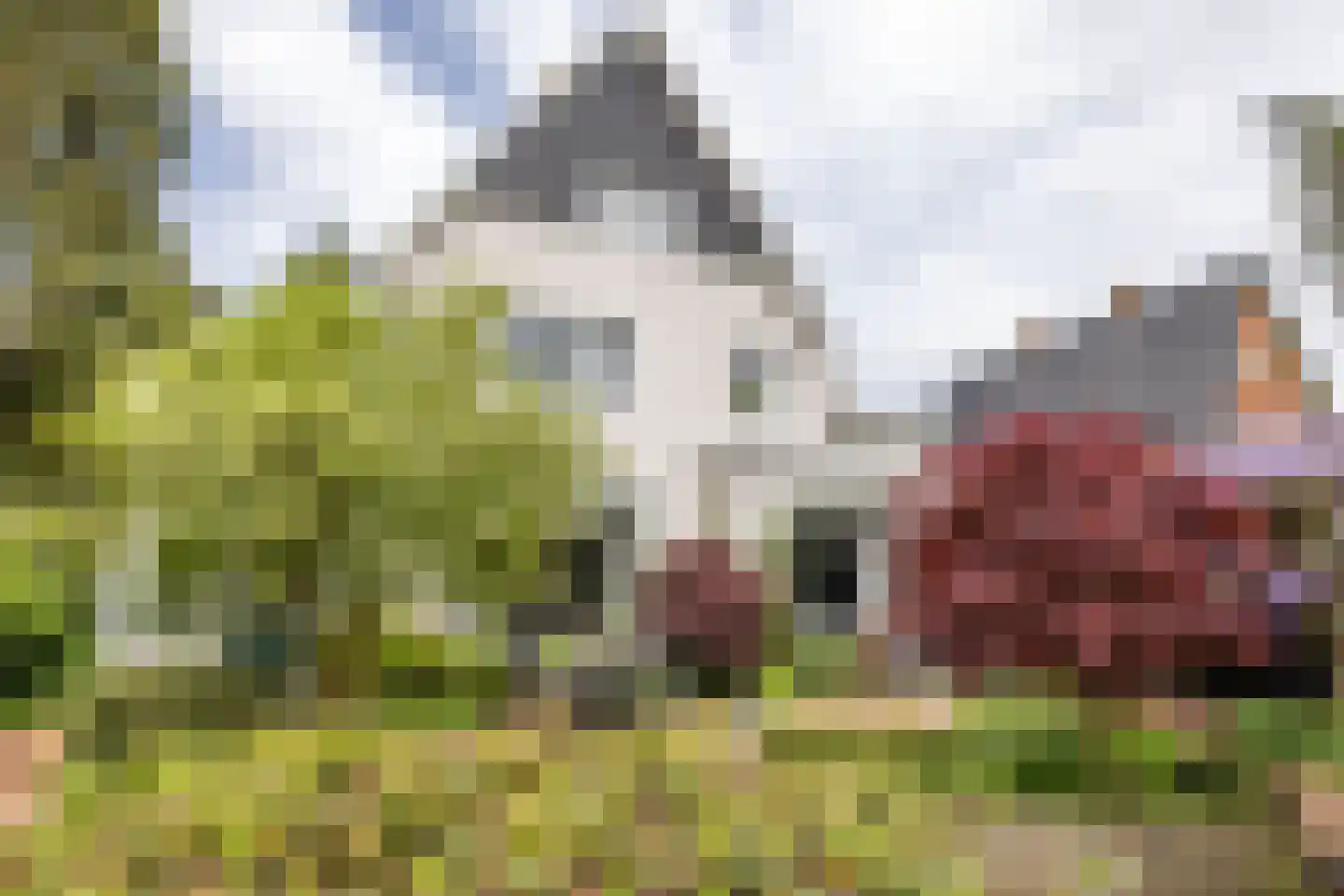 Molenweg 29 Haren Gn thumbnail 23