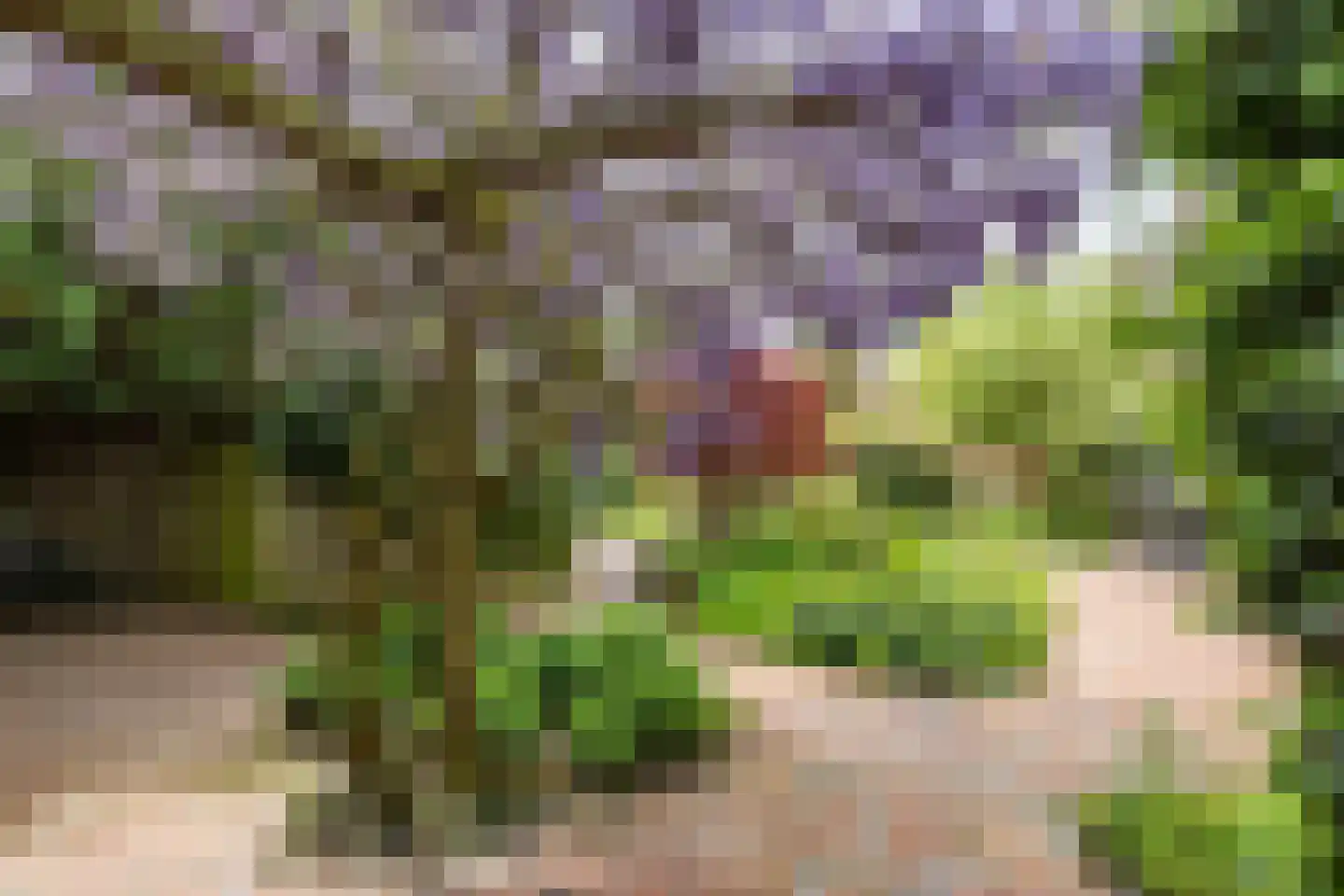Molenweg 29 Haren Gn thumbnail 24