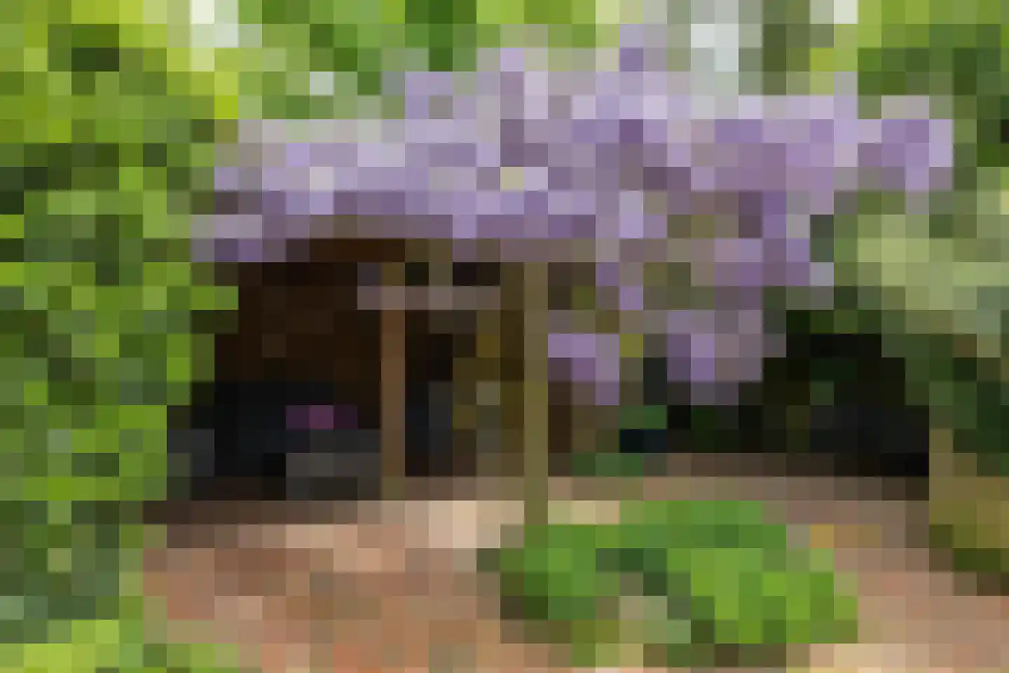 Molenweg 29 Haren Gn thumbnail 25