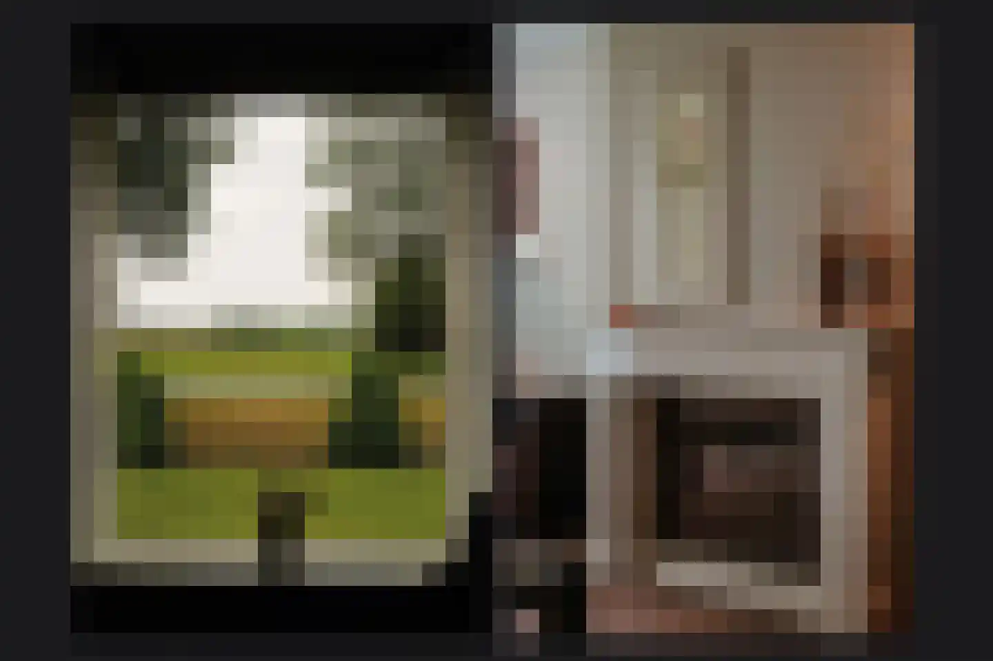 Molenweg 29 Horssen thumbnail 10