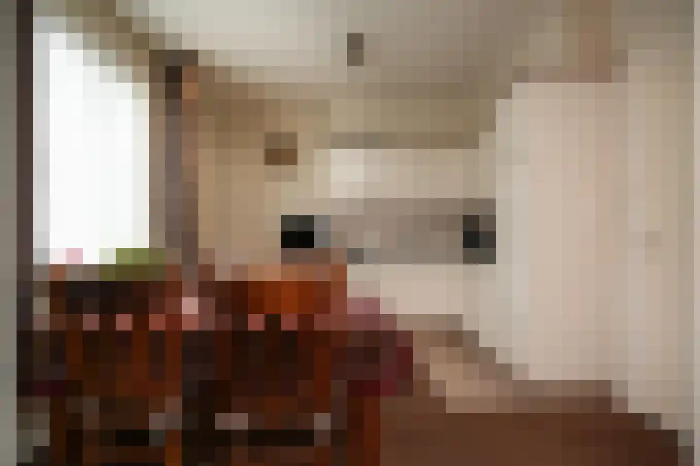 Molenweg 29 Horssen thumbnail 14